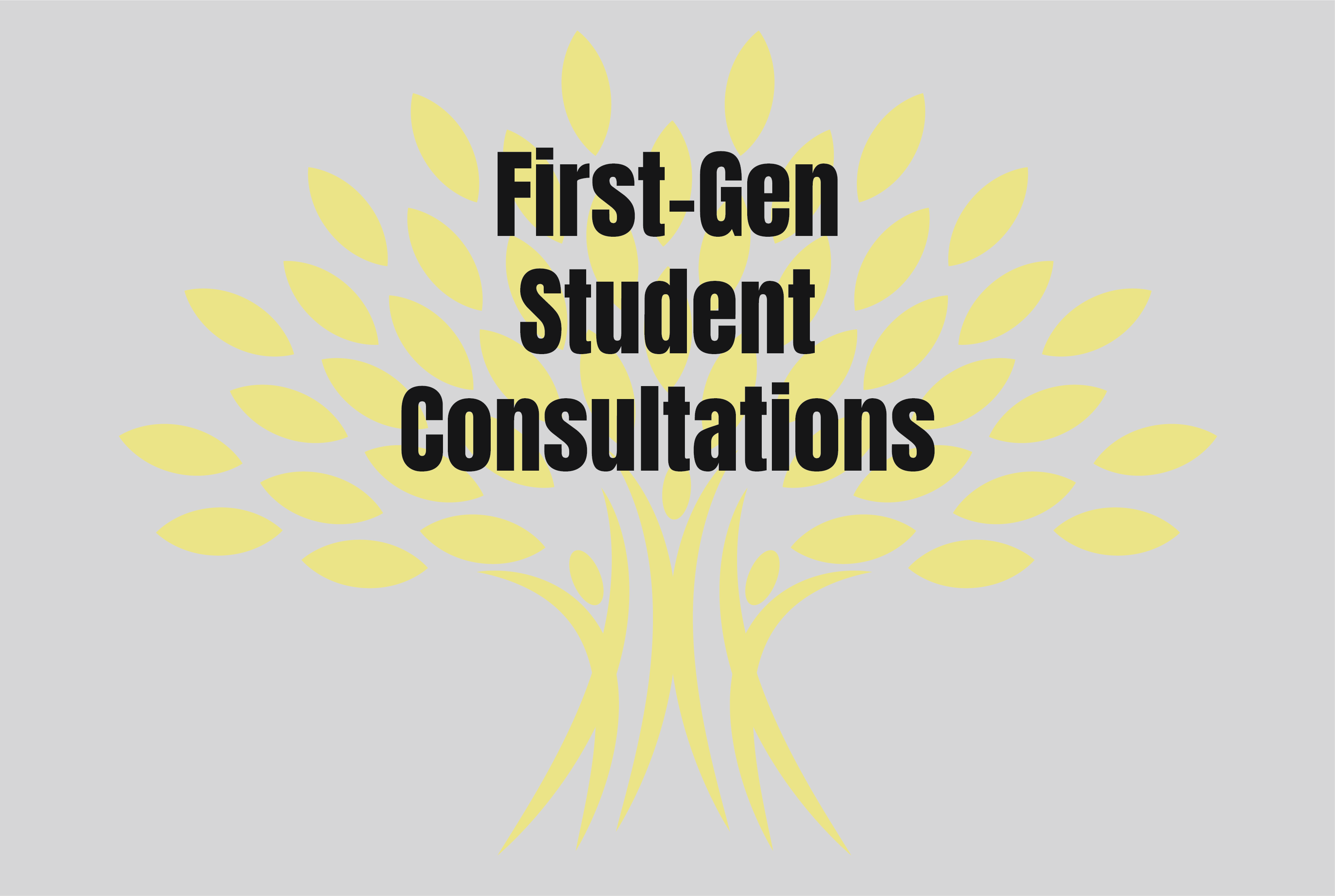 student consl