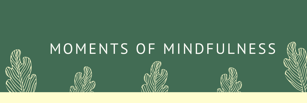 moments of mindfulness