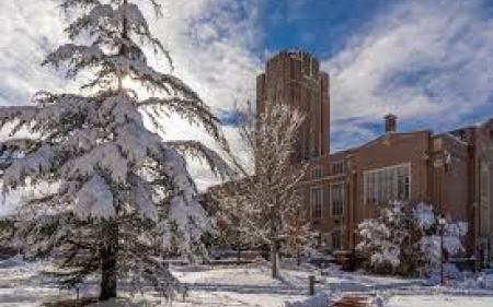 Snowy tree and building