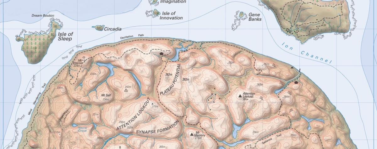 island shaped like a brain