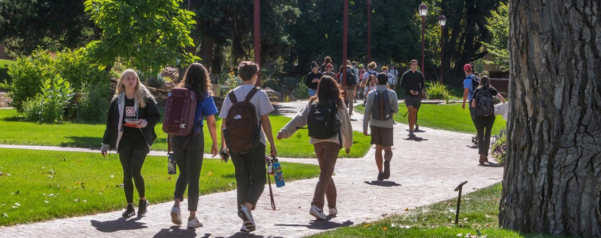 group of students walking across sunny campus