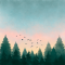 sky and trees